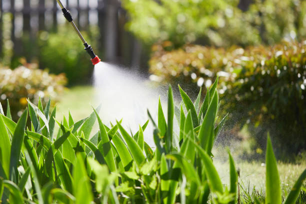24/7 Emergency Wasp Removal experts in Milton, WV
