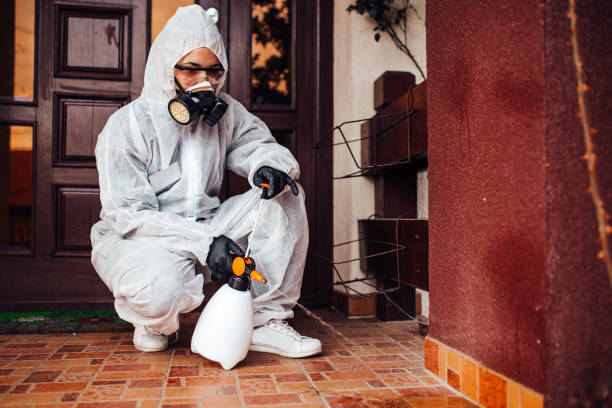 Reliable Wasp Removal contractor in Milton, WV by Show Me Pest Control